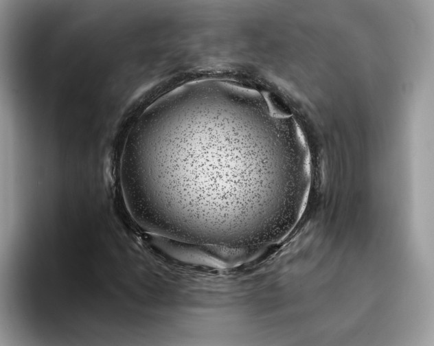 X0000094191206200711091154