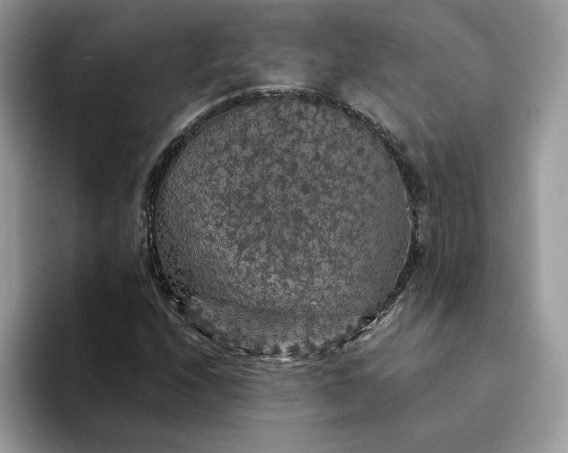 X0000094191208200711091154