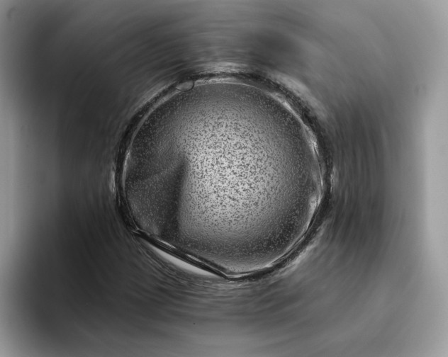 X0000094191209200711091154