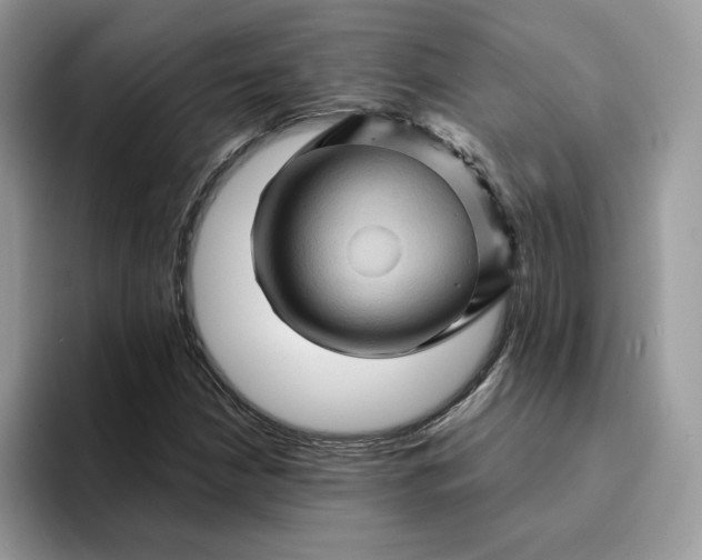 X0000094191210200711091154