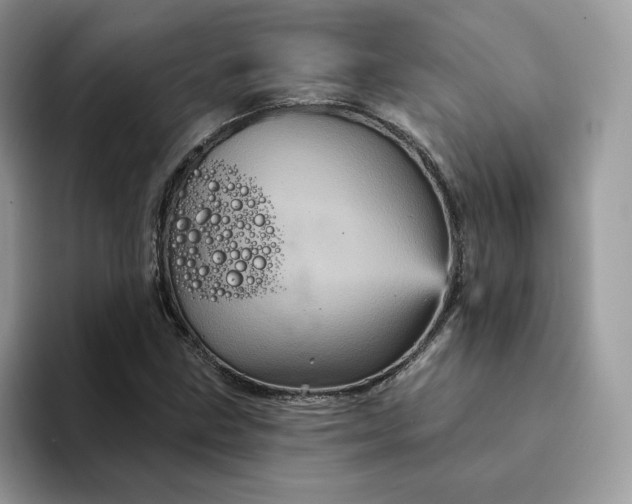 X0000094191211200711091154