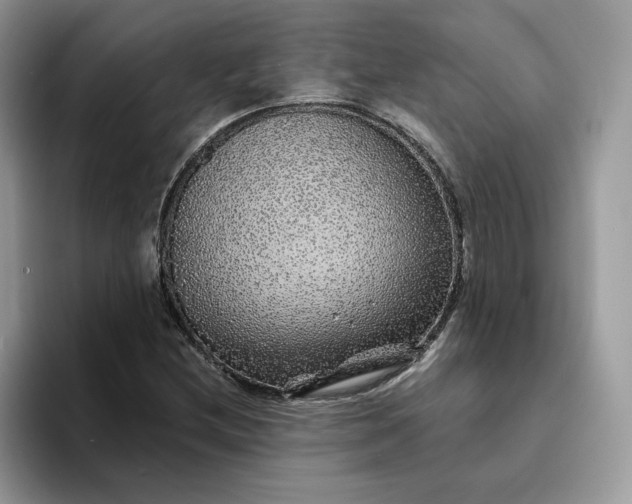 X0000094191212200711091154