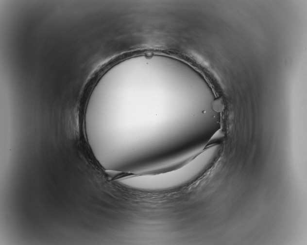 X0000094191214200711091154