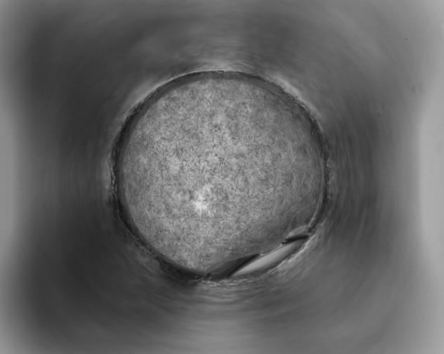 X0000094191215200711091154