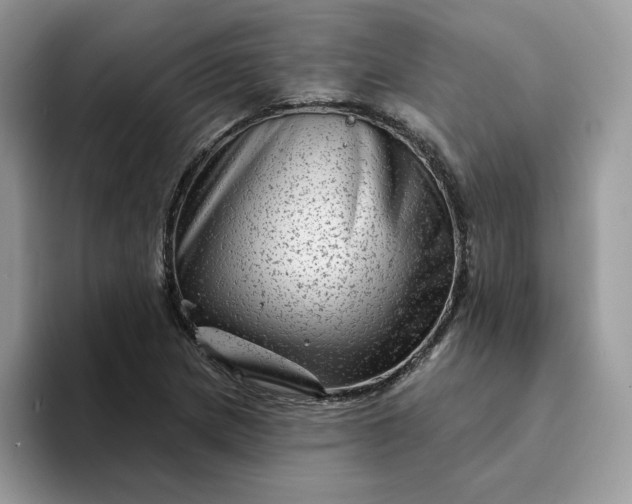 X0000094191217200711091154