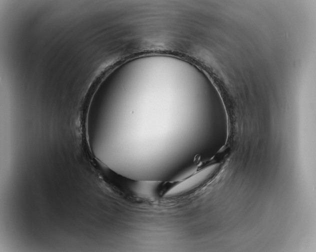 X0000094191218200711091154