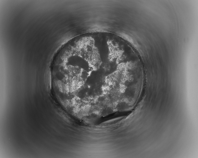 X0000094191219200711091154