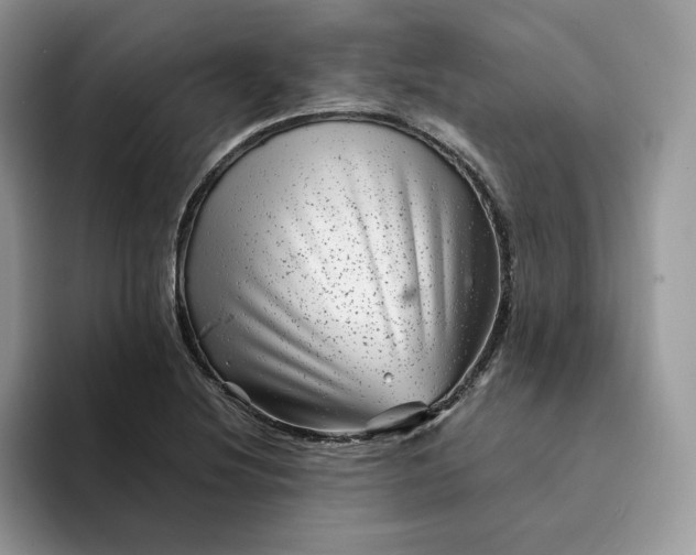 X0000094191220200711091154