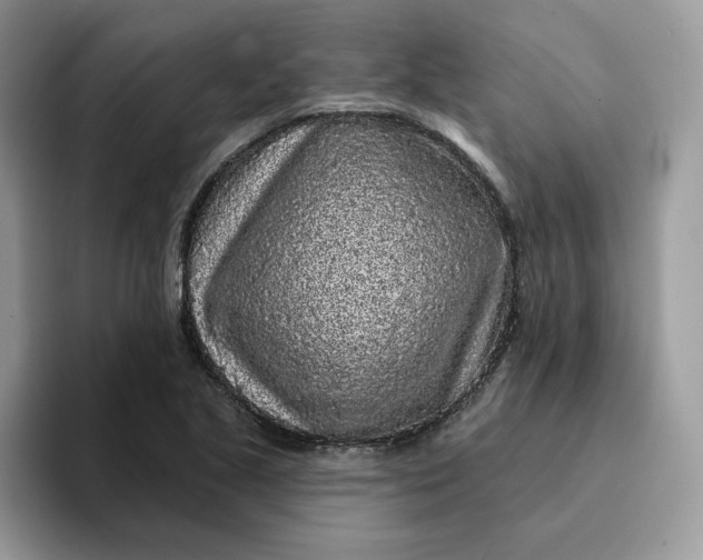 X0000094191221200711091155