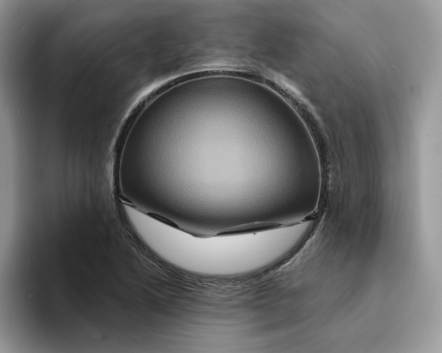 X0000094191222200711091155