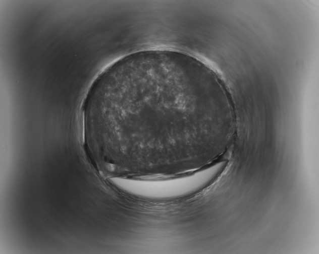 X0000094191223200711091155