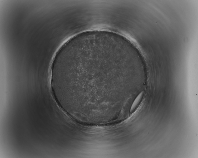 X0000094191224200711091155