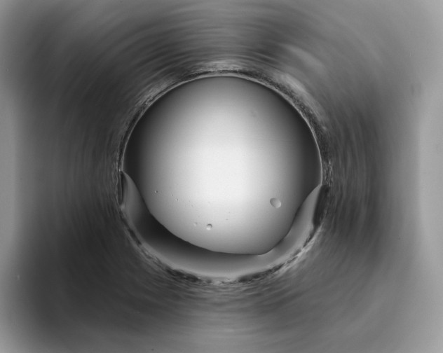 X0000094191225200711091155