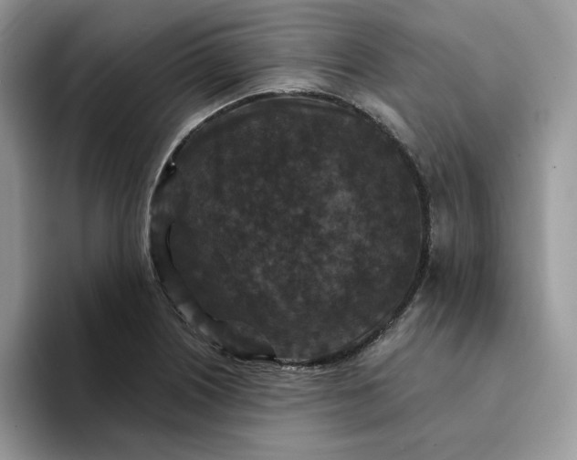 X0000094191226200711091155