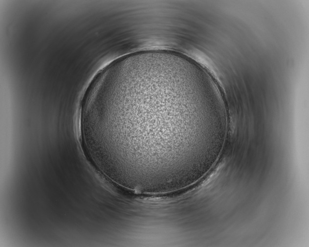 X0000094191227200711091155