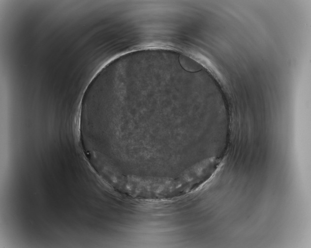 X0000094191228200711091155