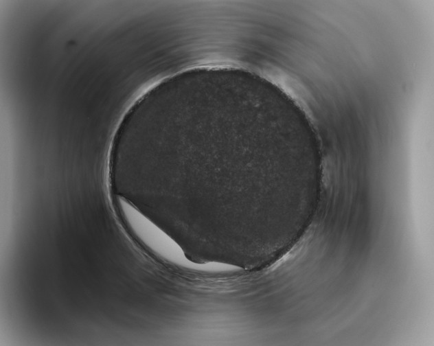 X0000094191229200711091155