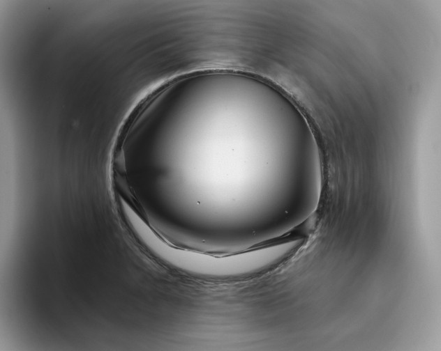 X0000094191230200711091155