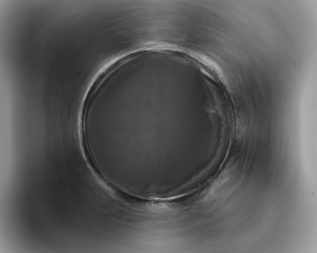 X0000094191231200711091155