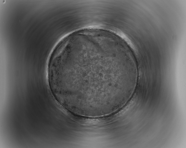 X0000094191232200711091155