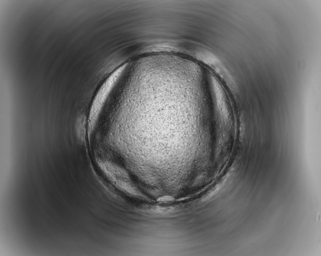 X0000094191233200711091155