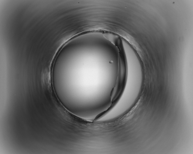 X0000094191234200711091155