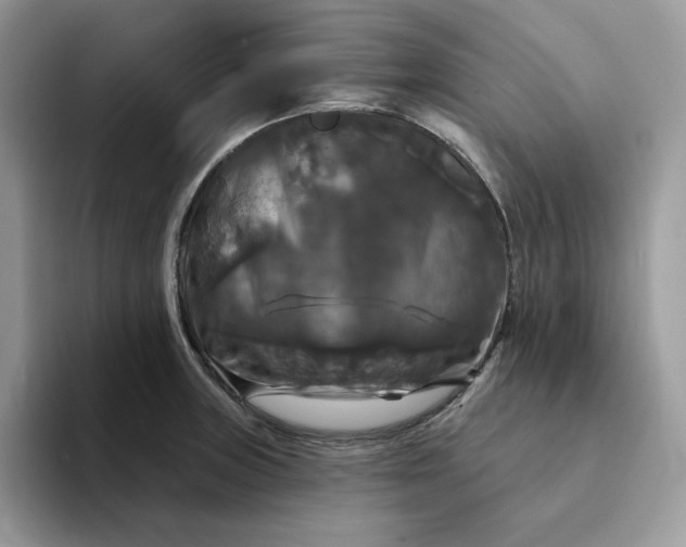 X0000094191235200711091155