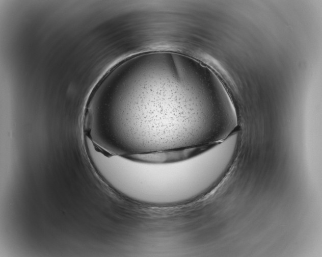 X0000094191236200711091155