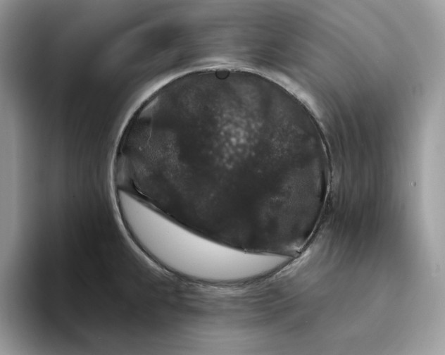 X0000094191239200711091155