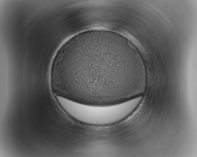 X0000094191240200711091155