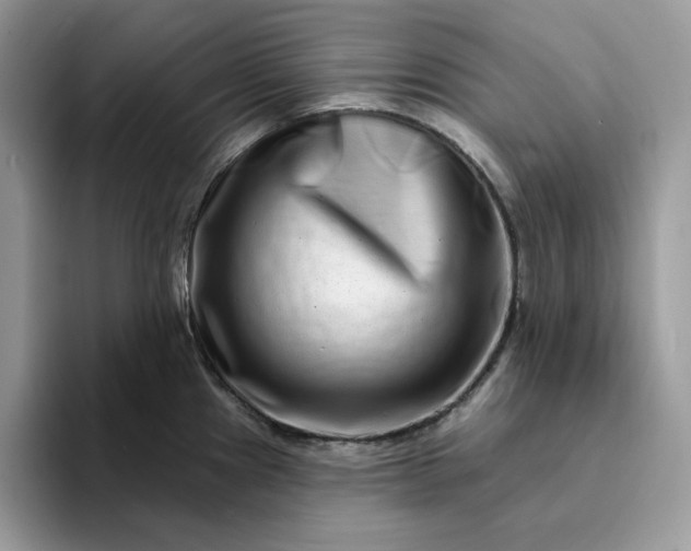 X0000094191241200711091155