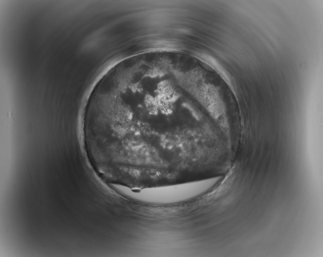 X0000094191243200711091155