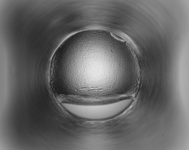 X0000094191244200711091155