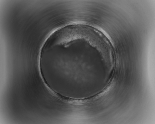 X0000094191245200711091155