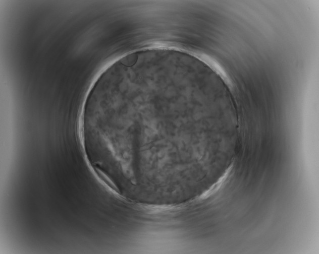 X0000094191247200711091155