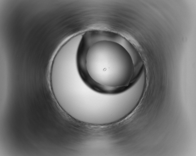 X0000094191248200711091155