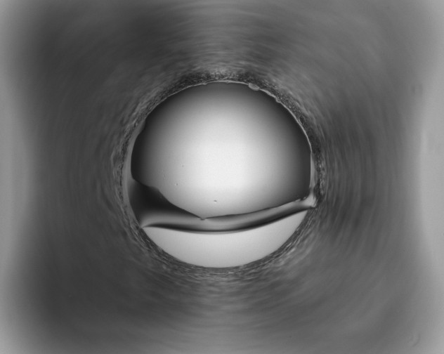 X0000094191249200711091154