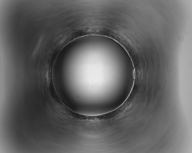 X0000094191250200711091154