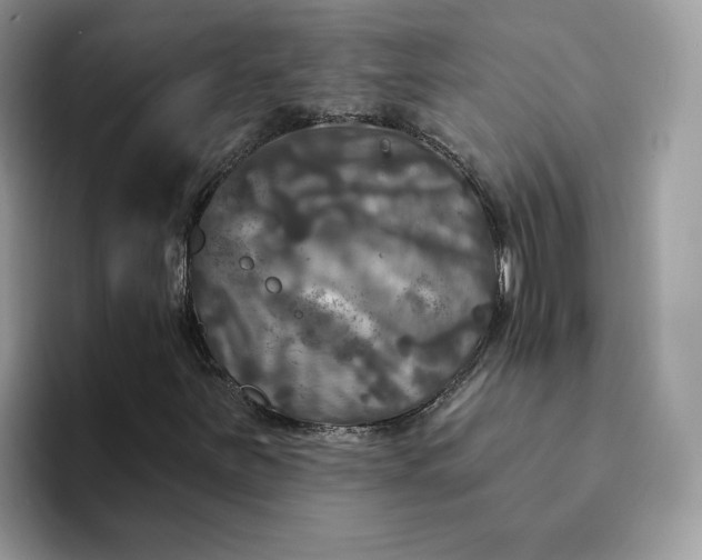 X0000094191251200711091154