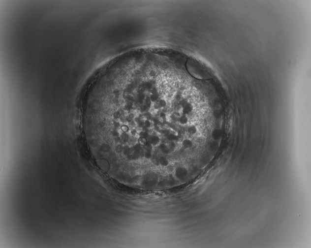 X0000094191255200711091154