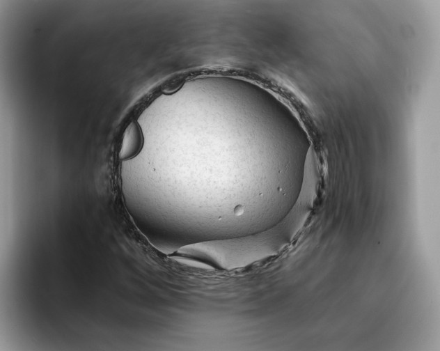 X0000094191256200711091154