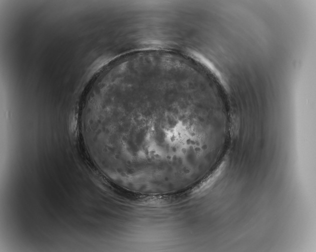 X0000094191259200711091154