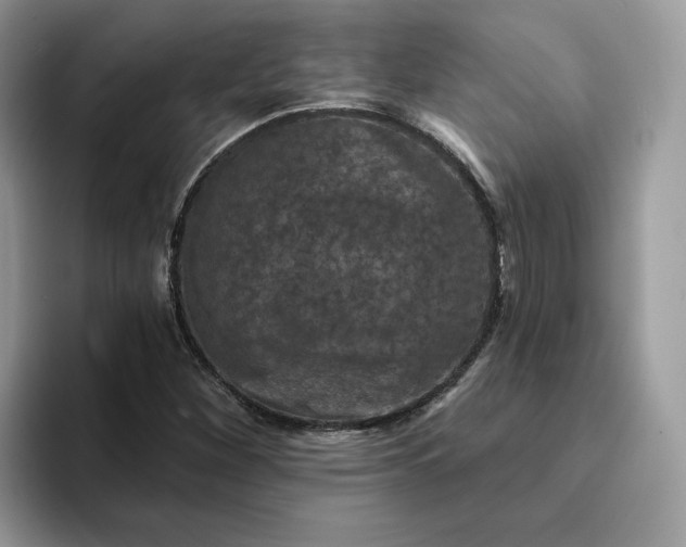 X0000094191260200711091154