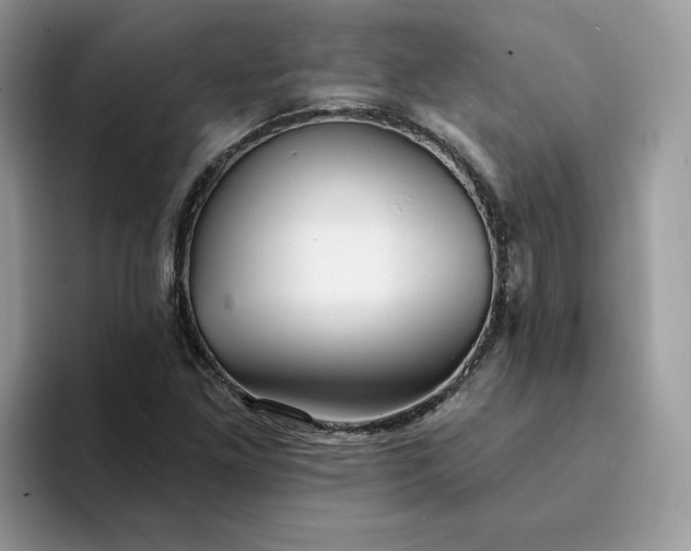 X0000094191261200711091154