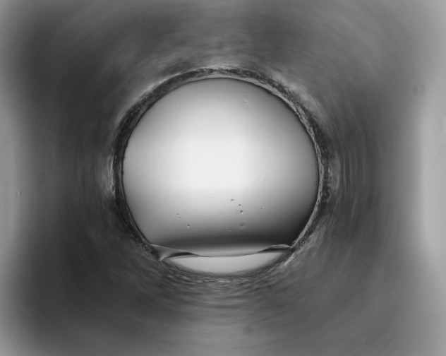 X0000094191262200711091154