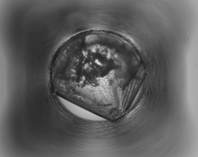 X0000094191263200711091154