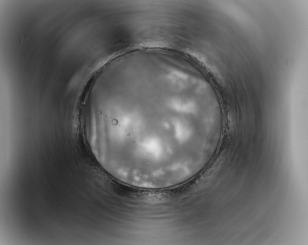 X0000094191266200711091154