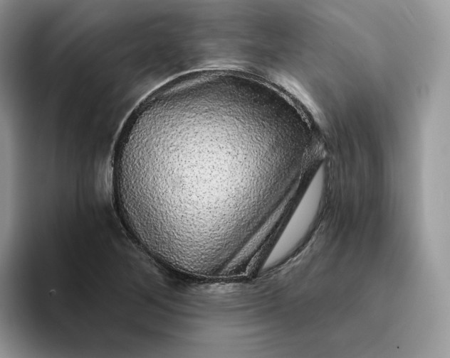 X0000094191268200711091154