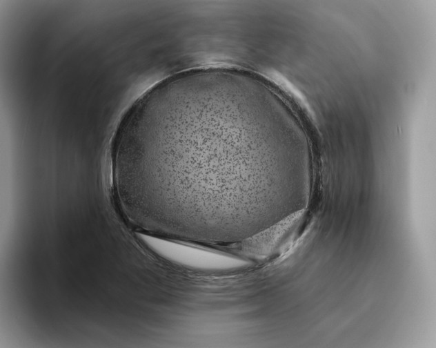 X0000094191269200711091154