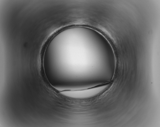 X0000094191270200711091154